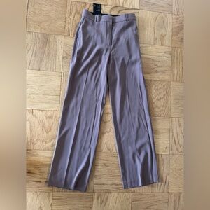 Aritzia Men's Wide-Leg Pants in Mauve